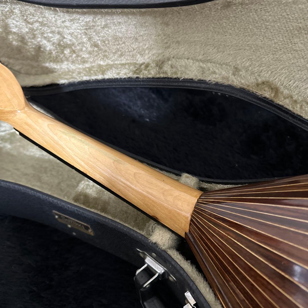 激レア! S.Watanabe No.250 マンドラ 弦楽器 ケース付属