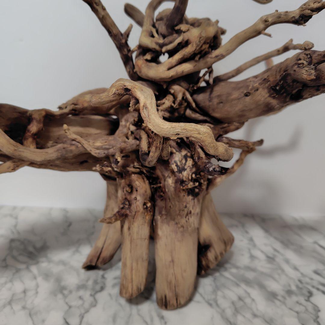 アク抜き済み流木【860】セール