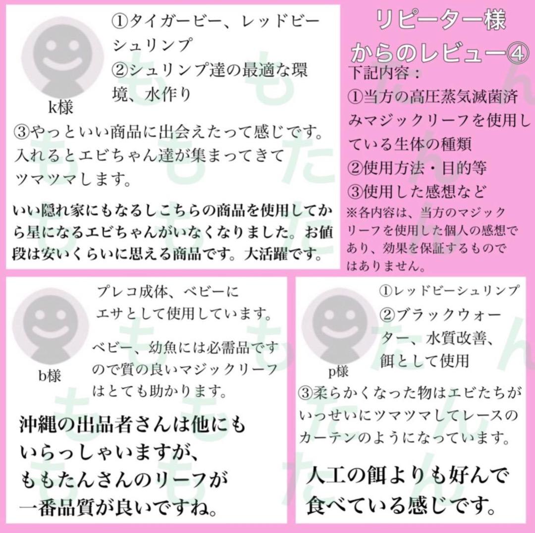 お徳用！サイズランダム400g高圧蒸気滅菌沖縄県産無農薬モモタマナ