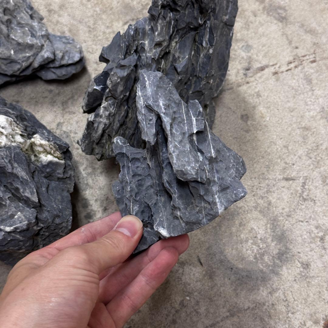 ADA龍王石 竜王石　セット　良型　1