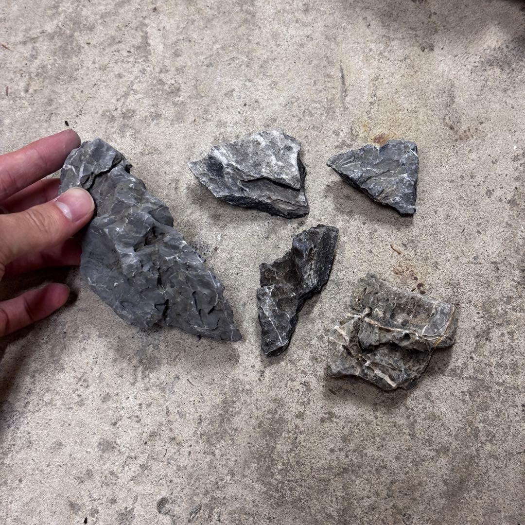 ADA龍王石 竜王石　セット　良型　1