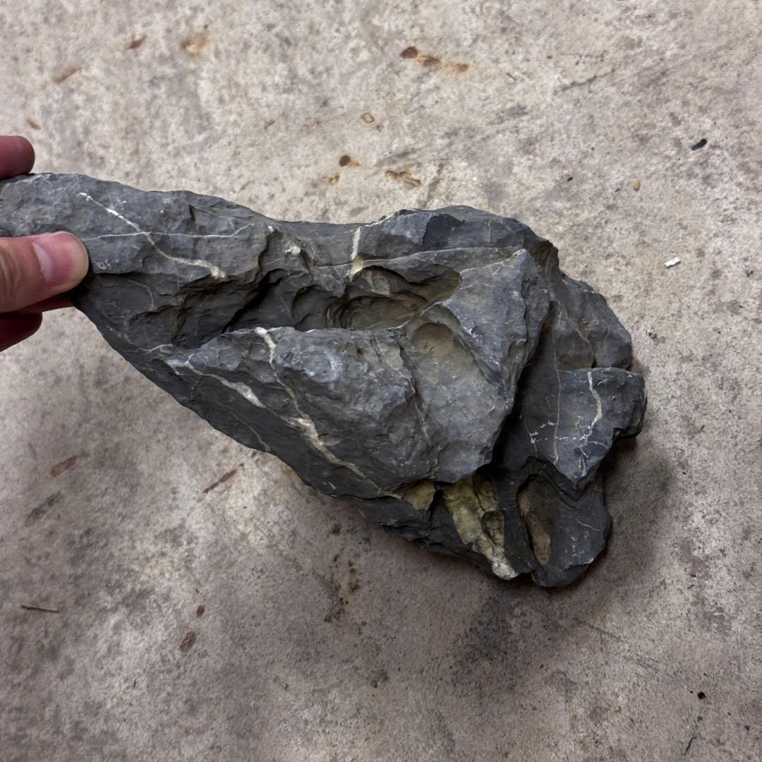 ADA龍王石 竜王石　セット　良型　1