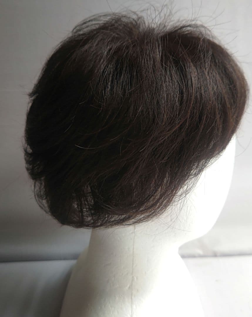 アートネイチャー　ジュリア・オージェ　ハーフウィッグ　さらら