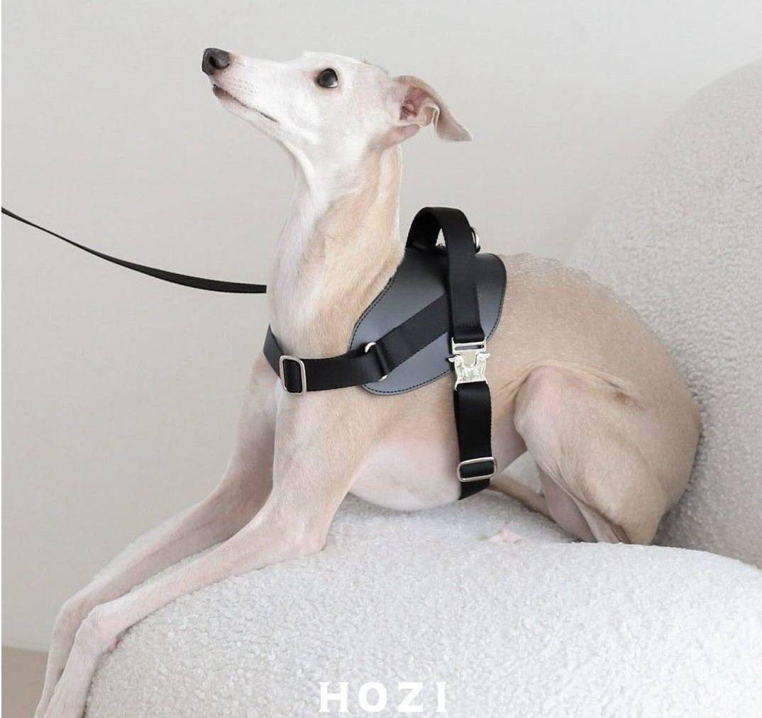 HOZI サドルハーネス& サドルハンズフリーリード　ブラック