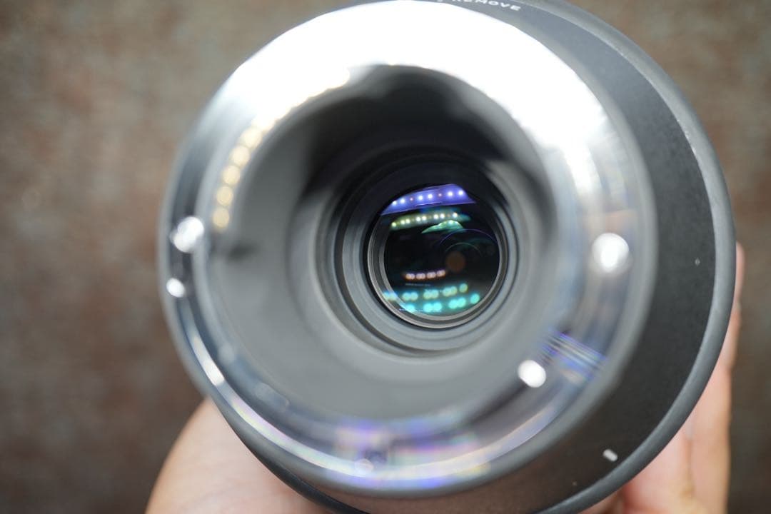 SIGMA 100-400mm F5-6.3ソニー Eマウント