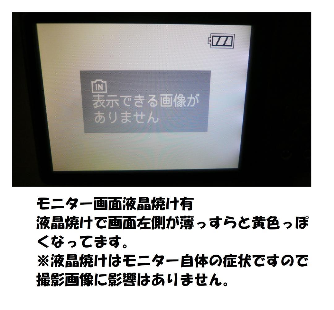 LUMIX★DMC-TZ5⭕️実働品⚠️必読有★光学10倍ズーム★910万画素