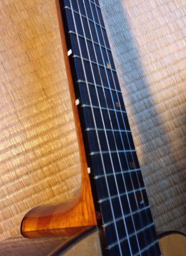 野辺正二/レキントギター(アルトギター)、トラベルギター