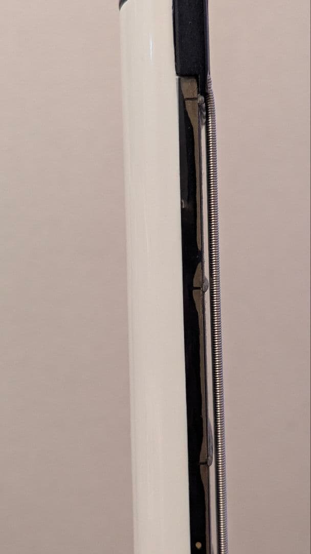 スタインバーガー　シナプス　 Steinberger Synapse