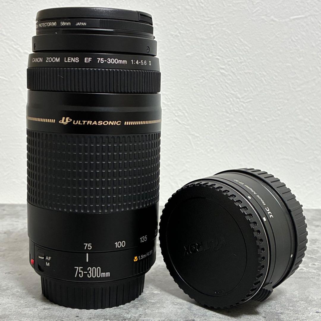 ⭐️美品⭐️Canon EF 75-300 II & EF-EOS R アダプター