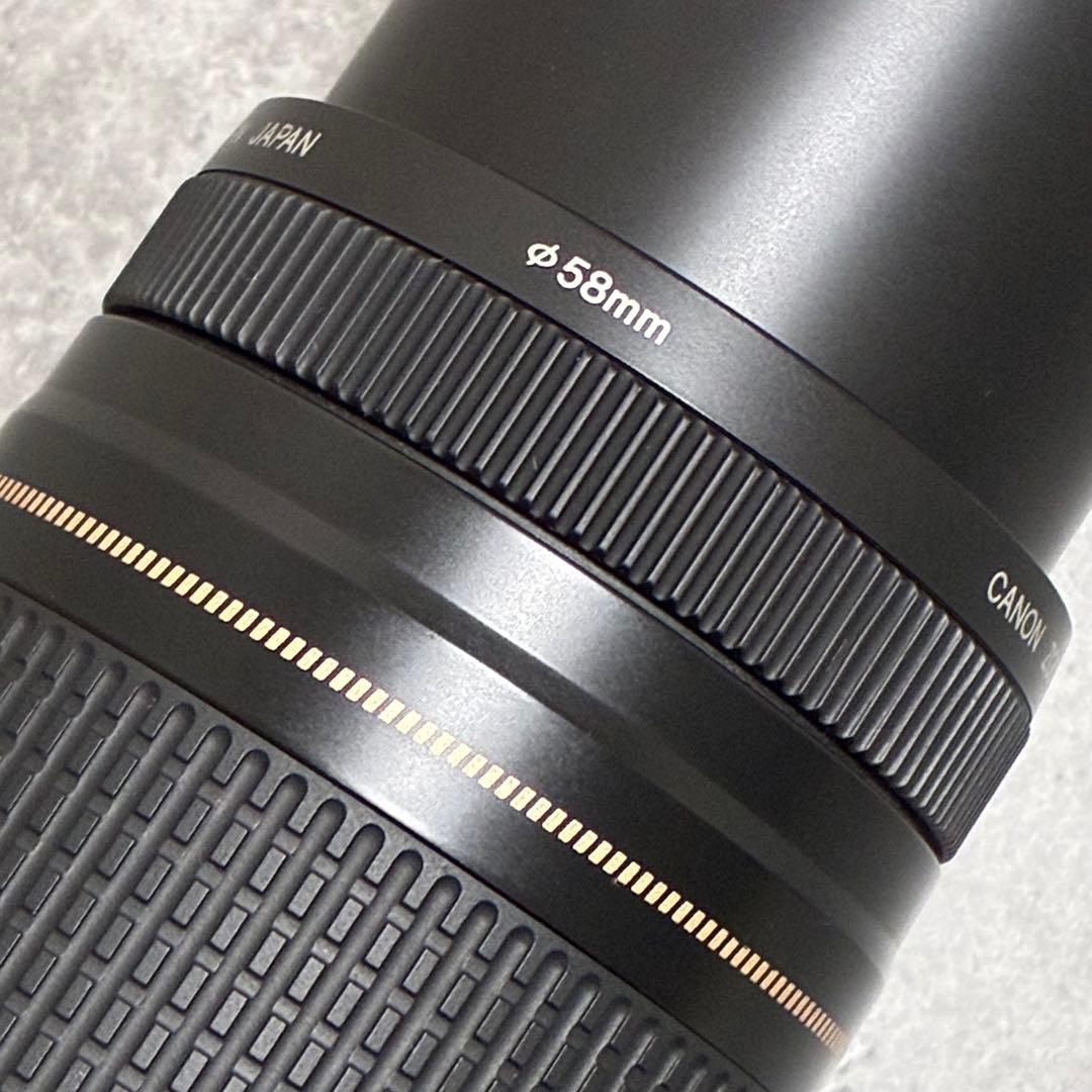 ⭐️美品⭐️Canon EF 75-300 II & EF-EOS R アダプター