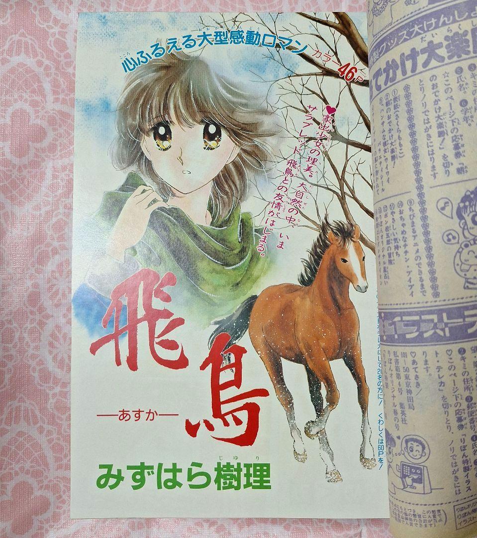 1990年4月20日増刊号　りぼんオリジナル　春の号　雑誌