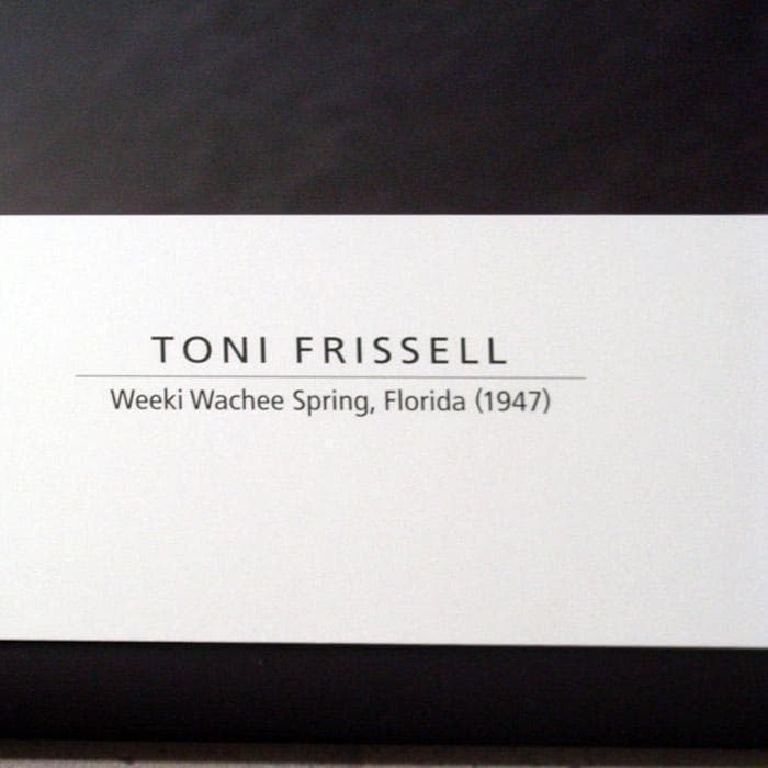 Weeki Wachee Spring/トニ フリッセル/ポスター