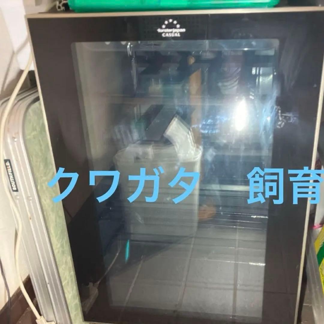 ワインセラー　フォルスタージャパン　コンプレッサー 式クワガタ
