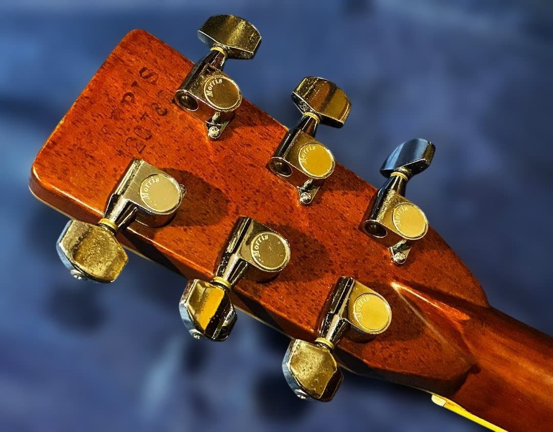 ★　　激鳴り・希少ハカランダ！モーリスW60　弦高調整済み　試聴動画有　★