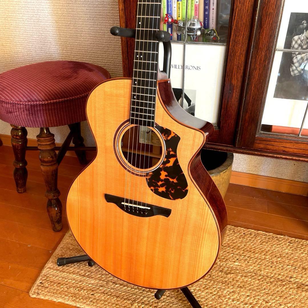 エレアコJames J-900/C オール単板 美品 ギグバック付属