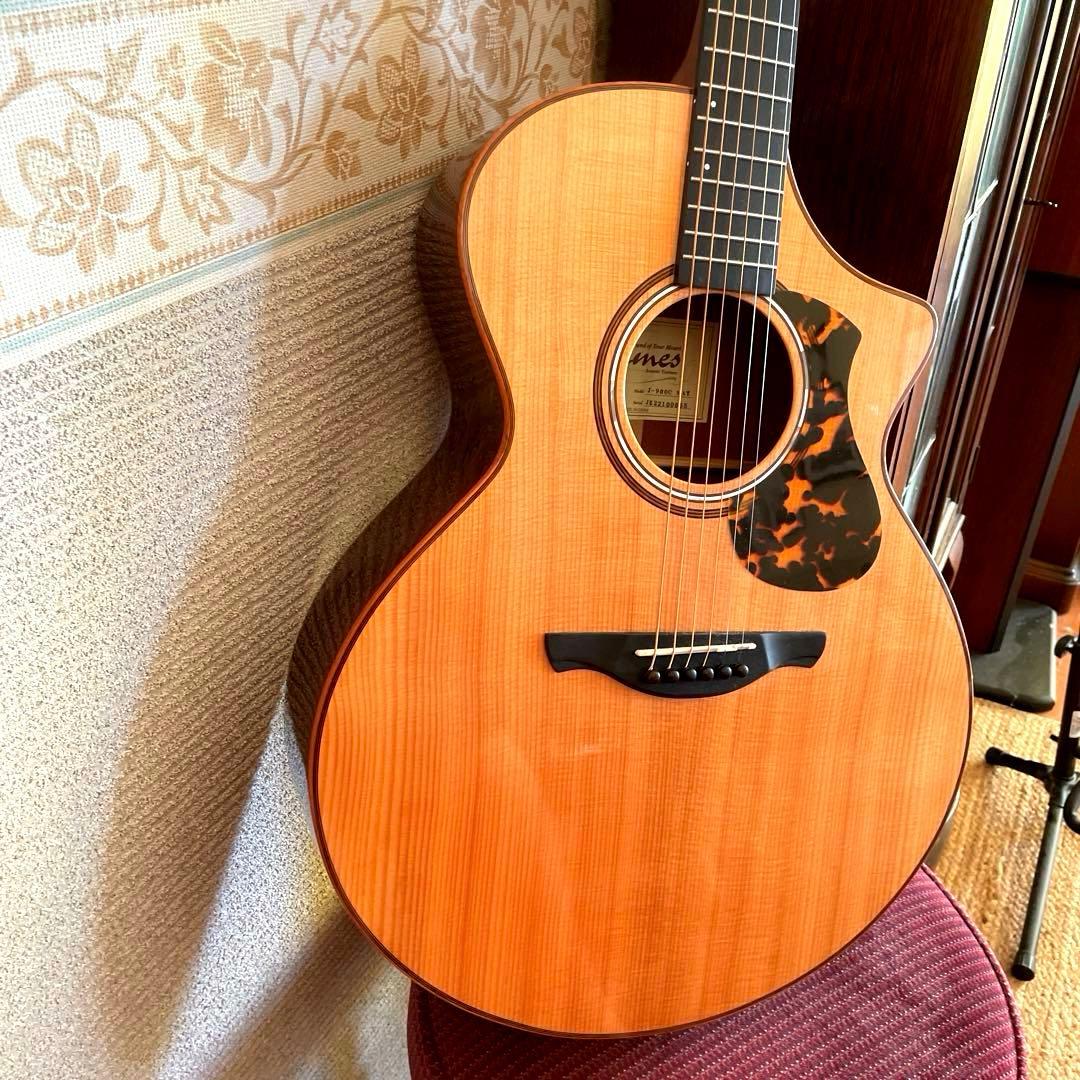 エレアコJames J-900/C オール単板 美品 ギグバック付属