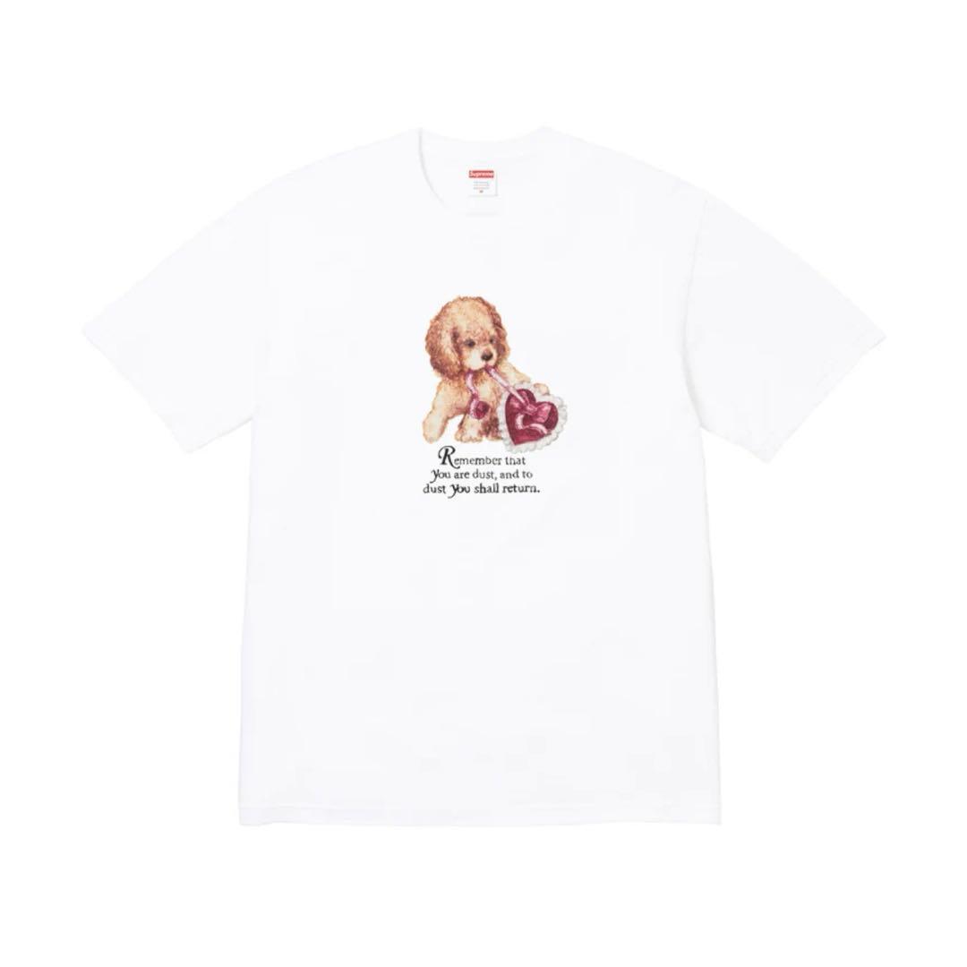 Supreme Dust Tee ホワイト