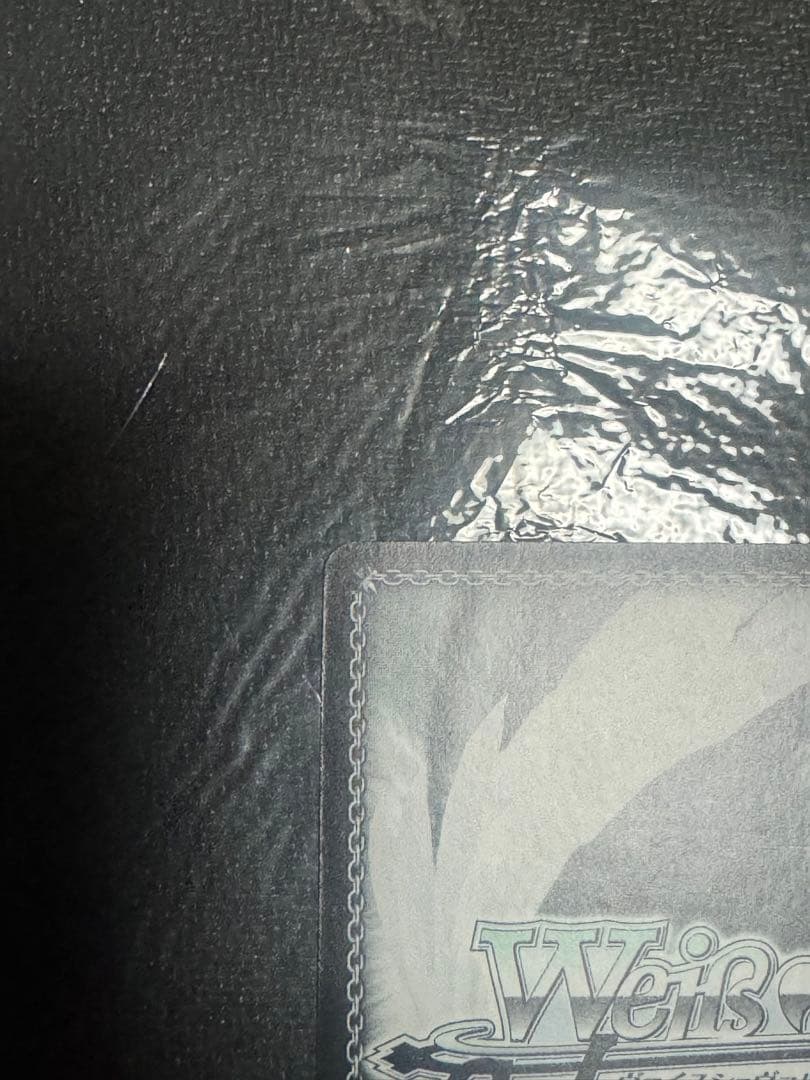 約束のパートナー　沙耶　SSP