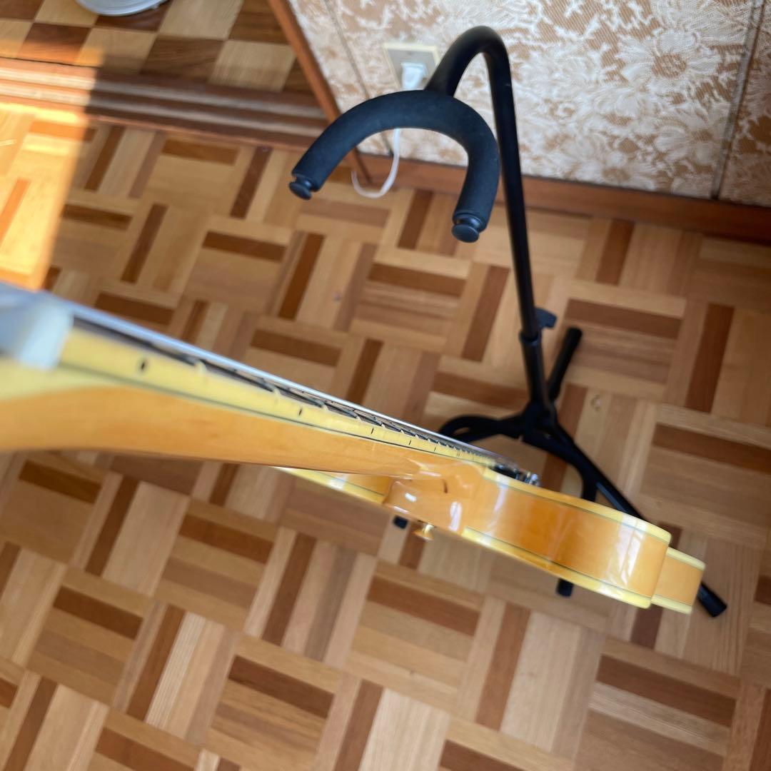 エピフォン　シェラトン