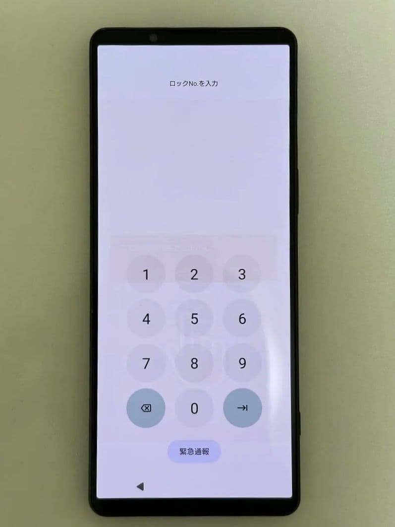 Xperia1Ⅴ SOG10 12GB/256GB 本体のみ