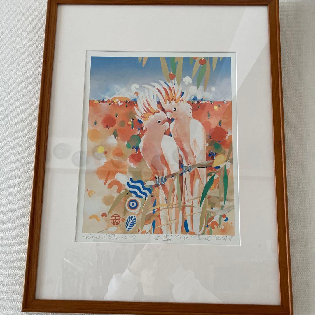 Helen Willshire パステル画 鳥 1993年