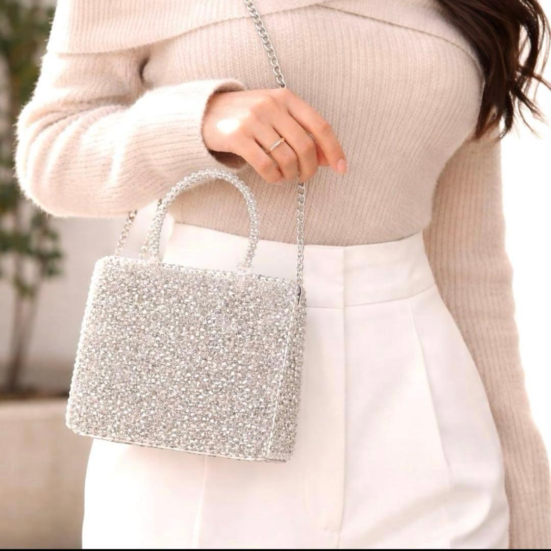 【極美品】保存袋・カード アンテプリマミニアトゥーラ チェーン 2WAYバッグ