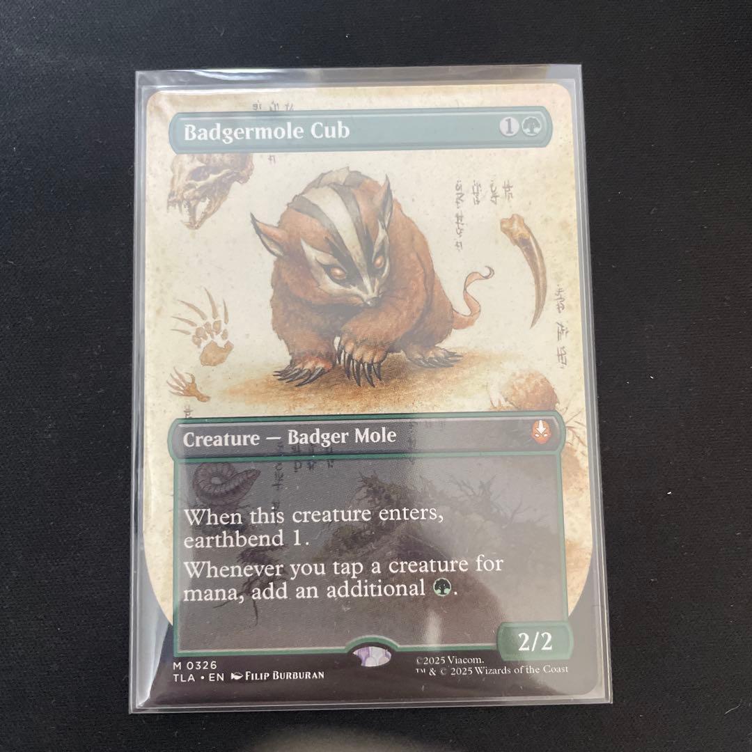 MTG アナグマモグラの子　英語　ボーダレス　Badgermole Cub