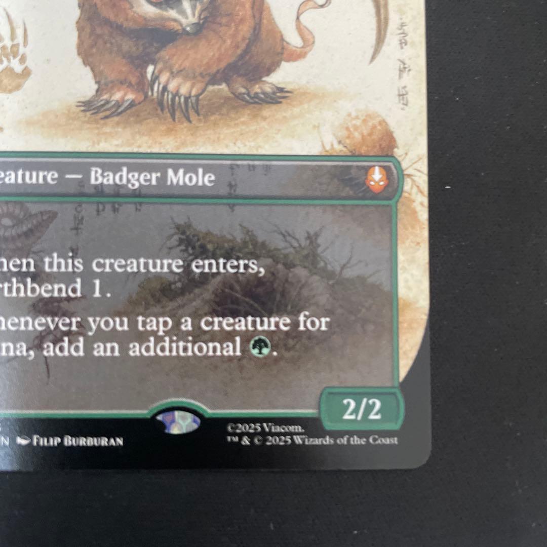 MTG アナグマモグラの子　英語　ボーダレス　Badgermole Cub