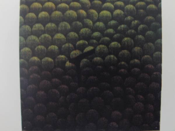 浜口陽三、メゾチント 、緑と紫のぶどう、希少な額装用画集より、新品高級額装付