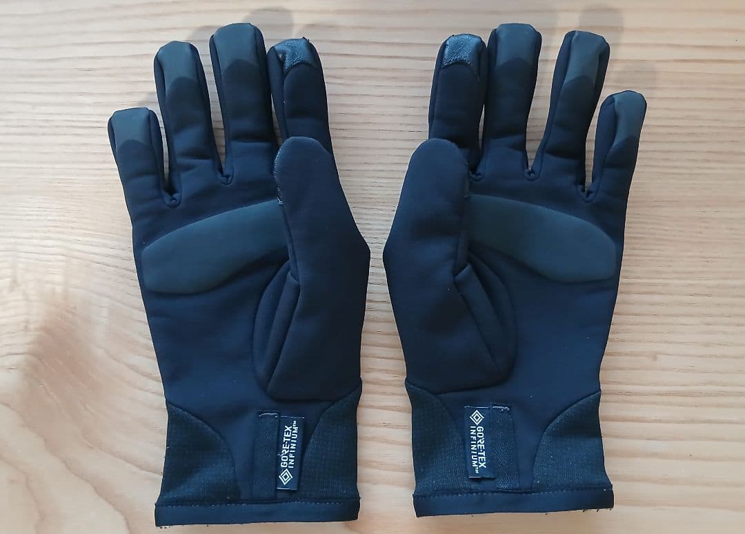 ヒ*ロ様 【再出品】ARC'TERYX　VEATA GLOVE　M　(落札者辞退