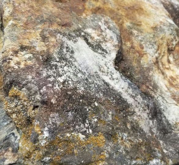 希少原石　結晶片岩　シスト　庭石　ロックガーデン　ガーデニング　宝石物質