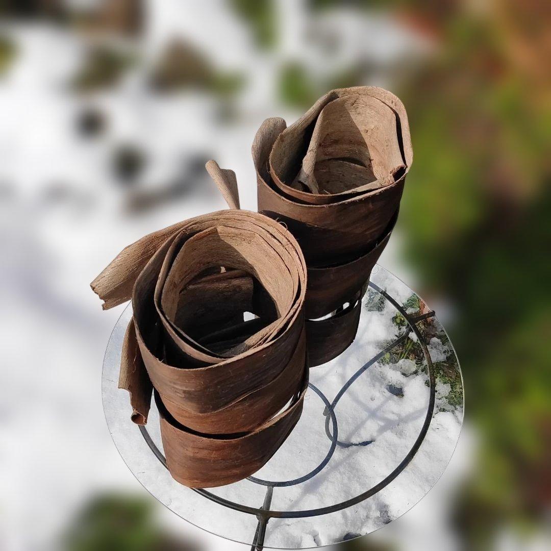 みっくん 胡桃 くるみ クルミ 皮 樹皮 約2kg