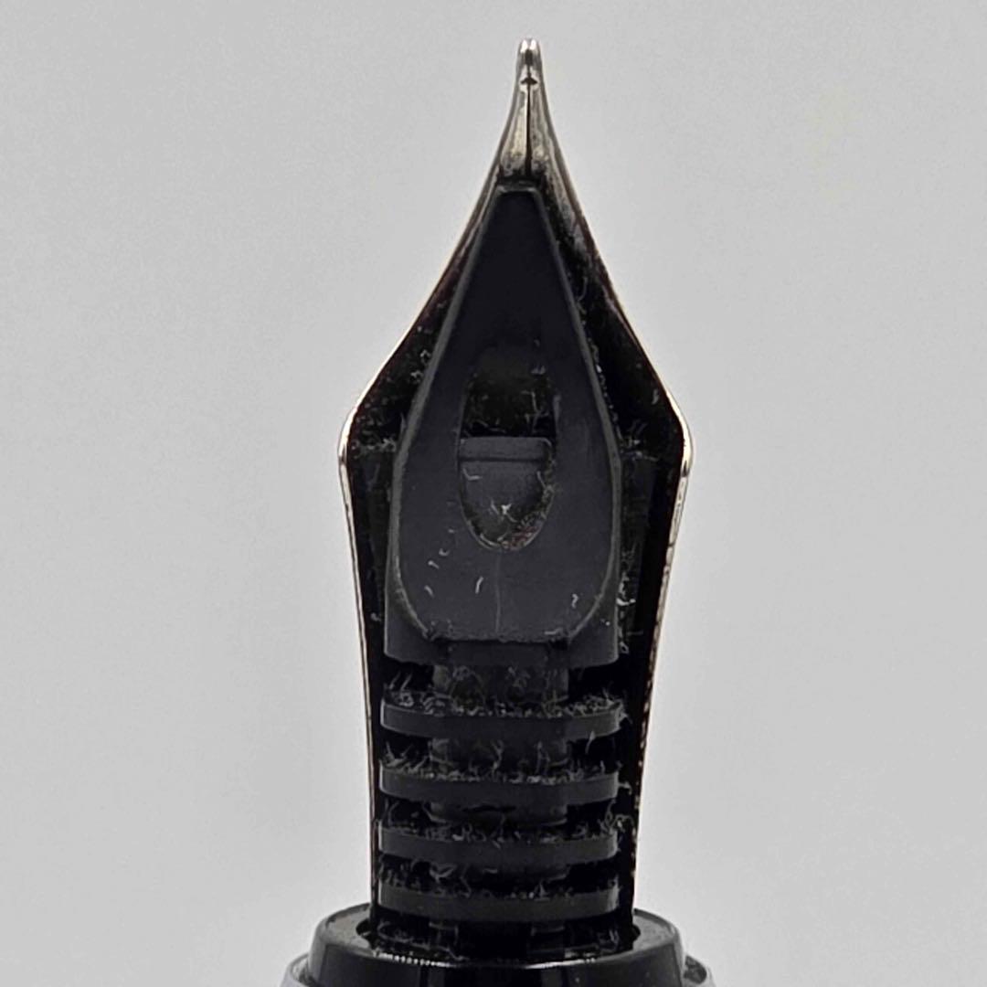 PILOT Stella 90s ルビーレッド 筆記未確認 名前入り 14金