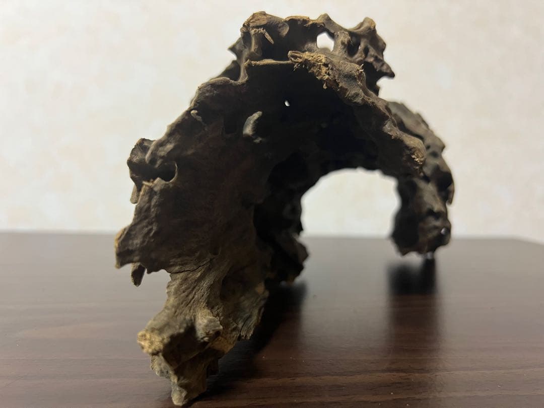 XM-367 ブランチウッド　流木　マシンガンウッド　アクアリウム　沈水確認済