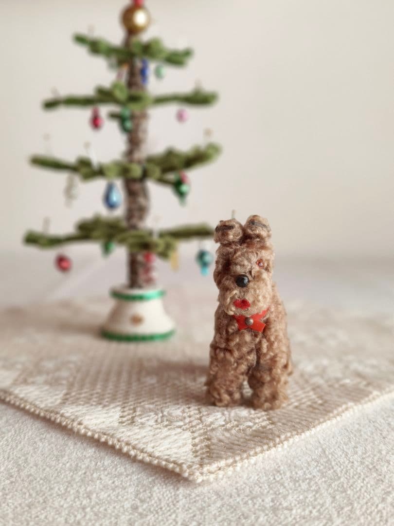 * vintage dog ❀ クルクル巻き毛がキュートな ワンちゃん