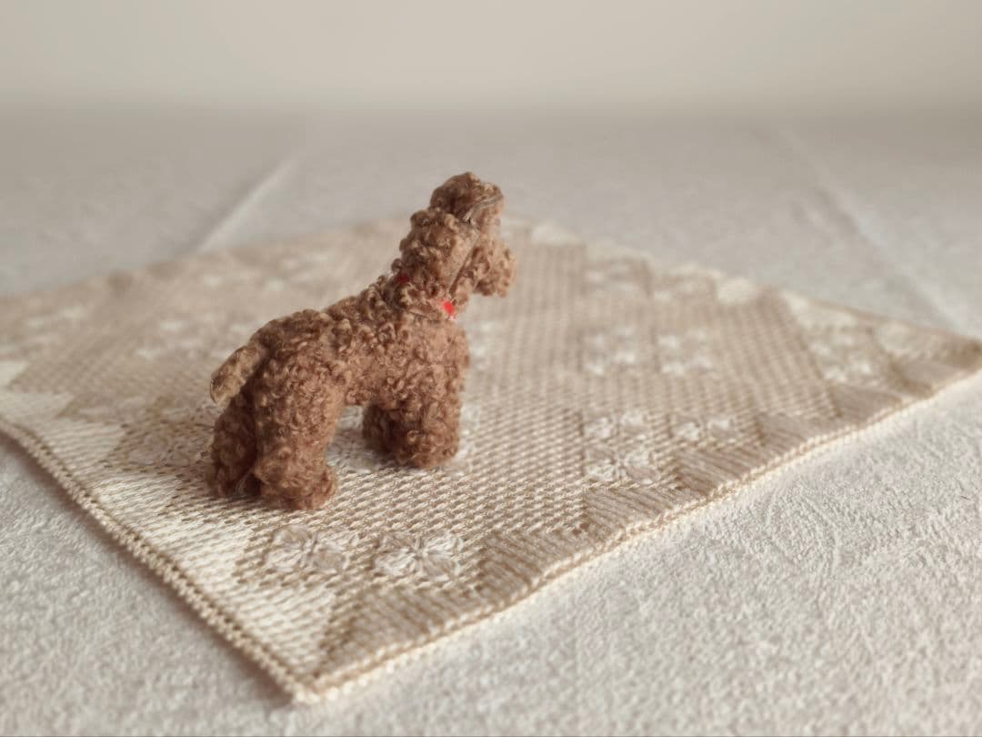 * vintage dog ❀ クルクル巻き毛がキュートな ワンちゃん