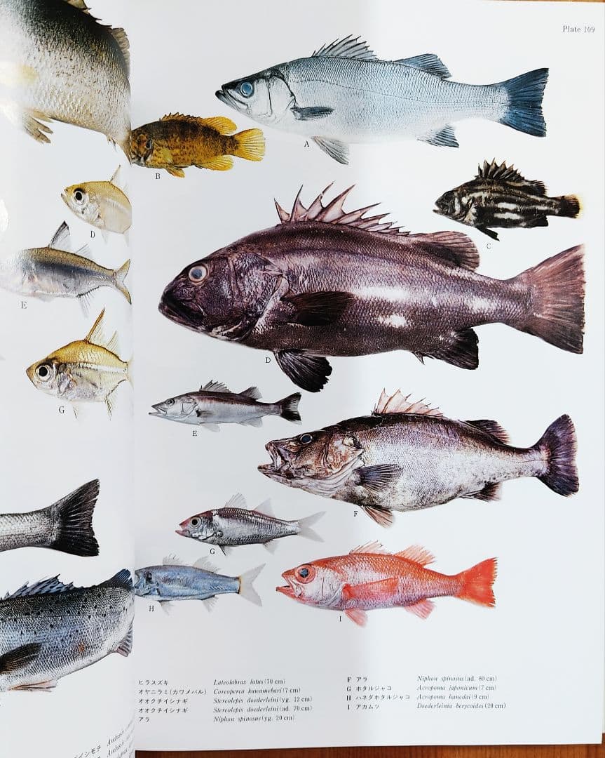 日本産魚類大図鑑 2巻セット