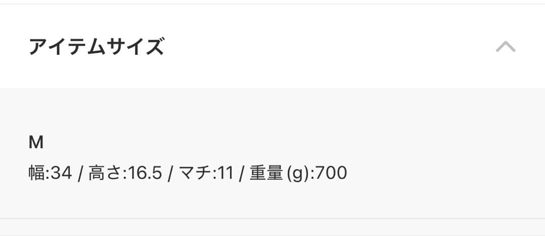 チャールズアンドキース レイチェルイロンゲイテッドマルチポケットショルダーバッグ