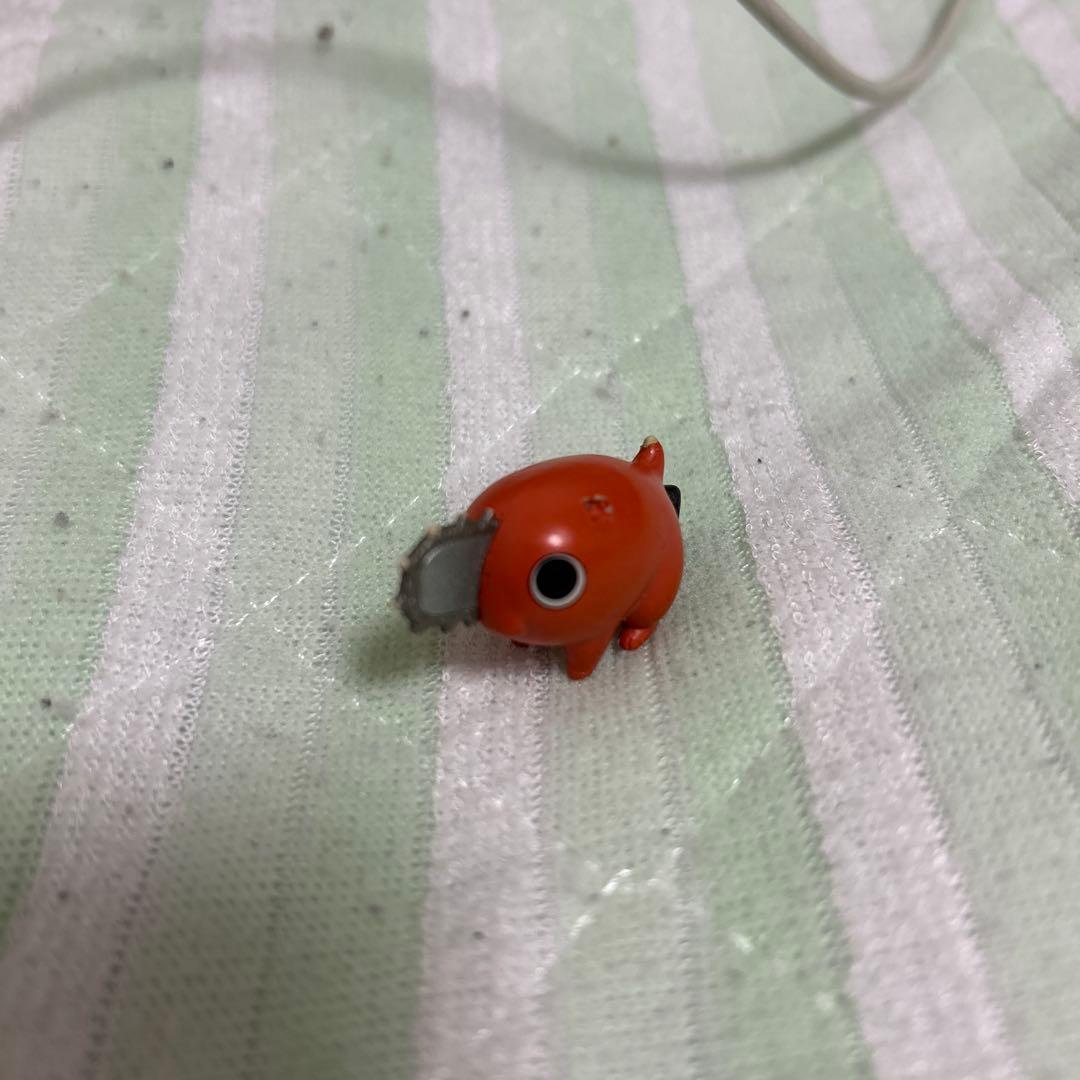 3年間共に過ごしたポチタ