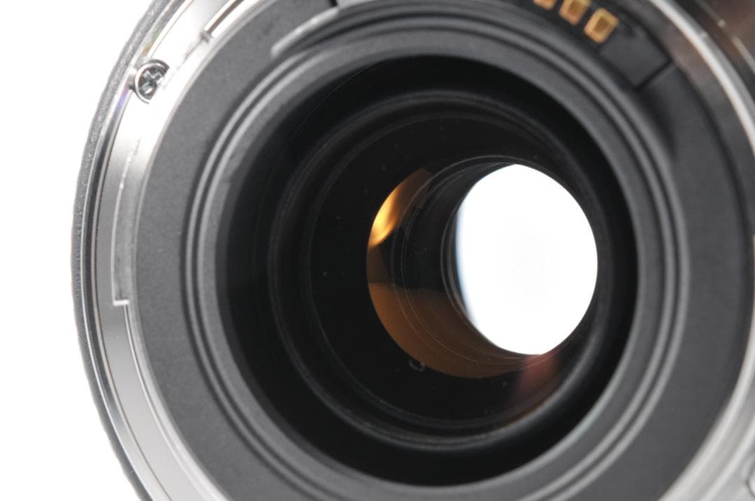 Canon EF 70-300mm F4-5.6 IS USM ✨ 超望遠レンズ