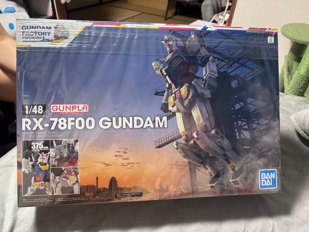 ロボット RX-78F00 GUNDAM 1/48 BANDAI