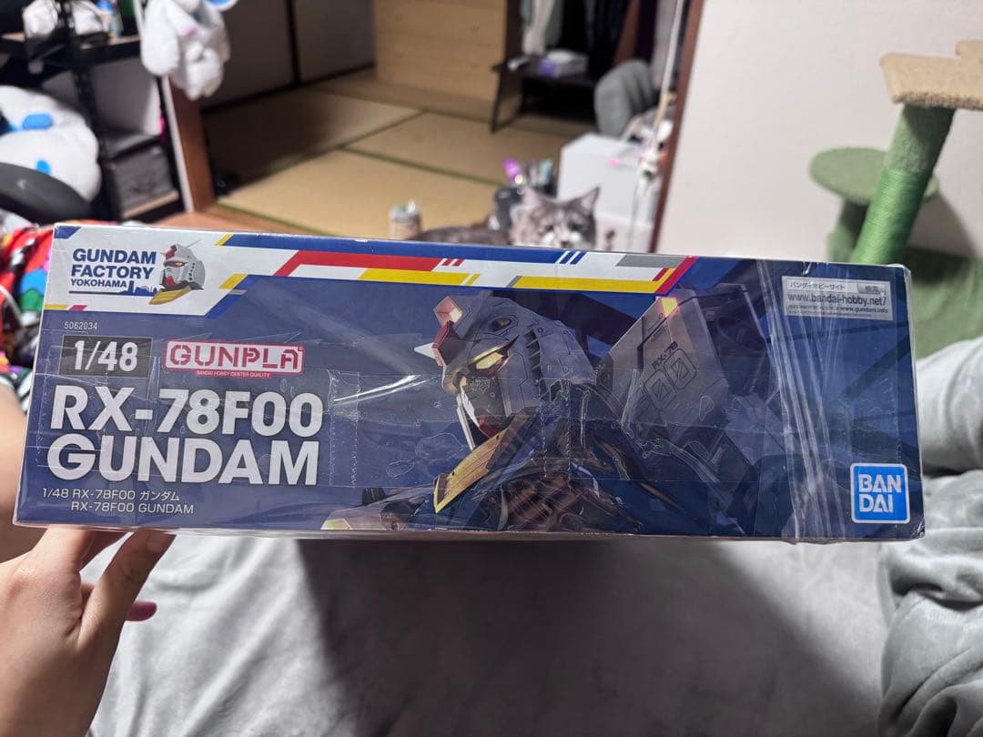 ロボット RX-78F00 GUNDAM 1/48 BANDAI