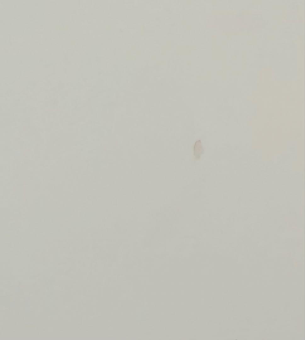 MAGIS マジス XZ3 丸型ダイニングテーブル