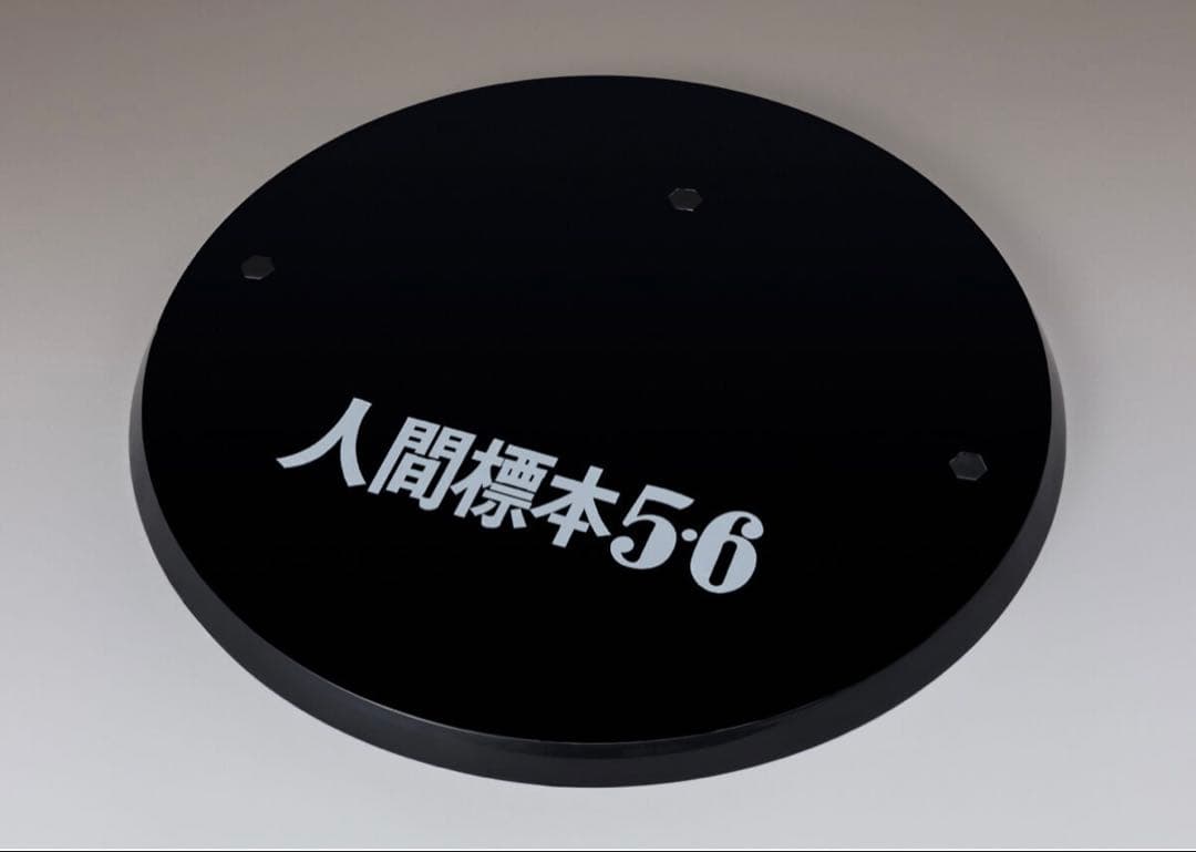 真骨彫製法 ウルトラマン　S.H.Figuarts ダダ 人間標本５・６Ver.