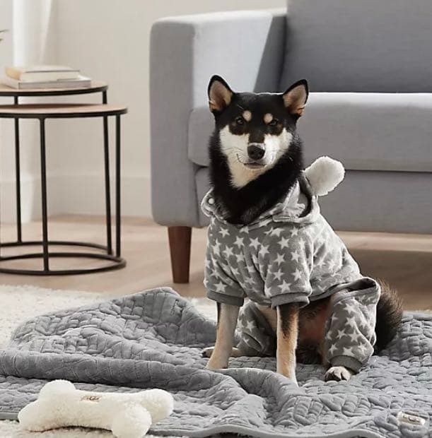 UGG ドックウェア　ペット　 服　レア　星　S M 　アグ　かわいい