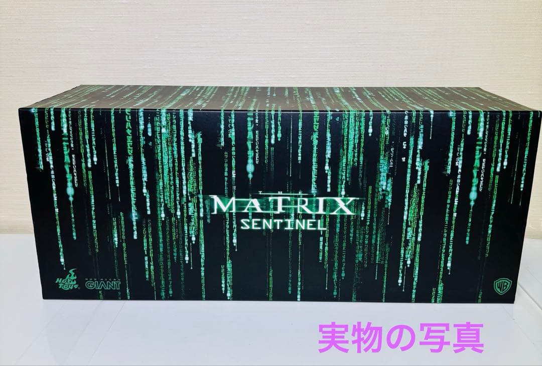マトリックスジオラマ・マスターピース　1/16 フィギュア　HOTTOYS