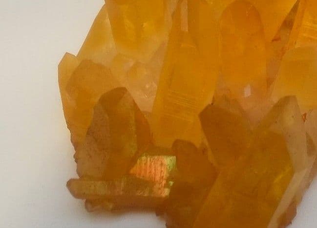 希少 クラスター ゴールデンヒーラー　上質！