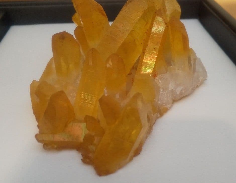 希少 クラスター ゴールデンヒーラー　上質！