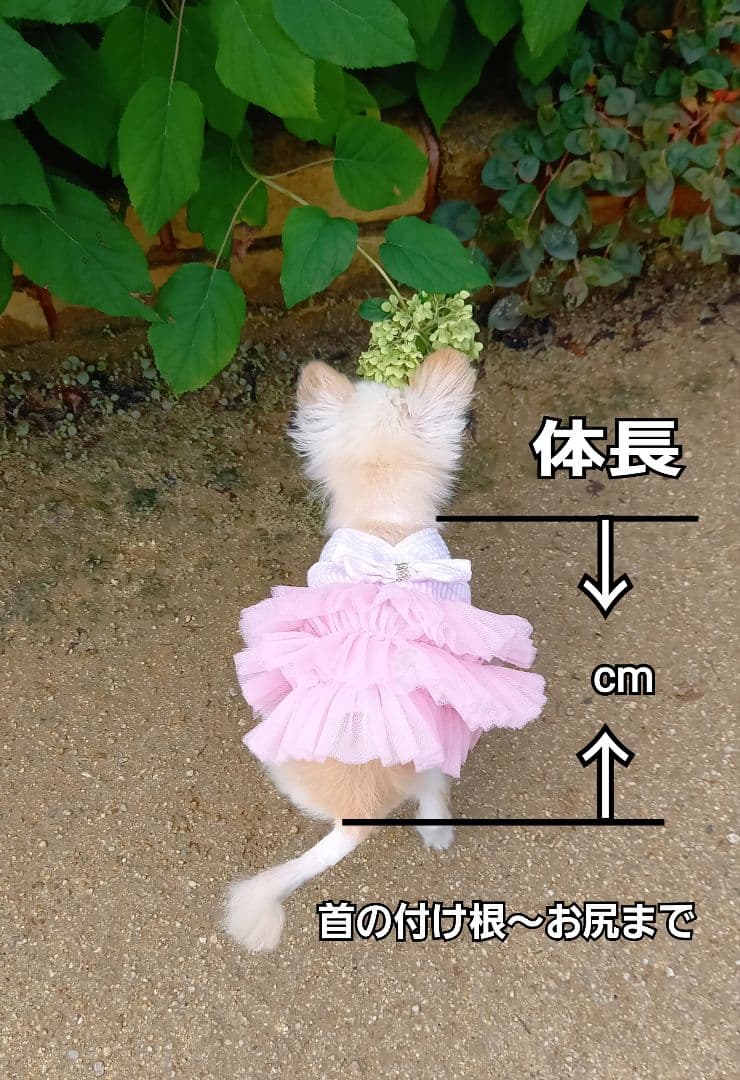 立田ページ♥️　チワワ　ブラックタン　等身大　ぬいぐるみ　カズコオガワ