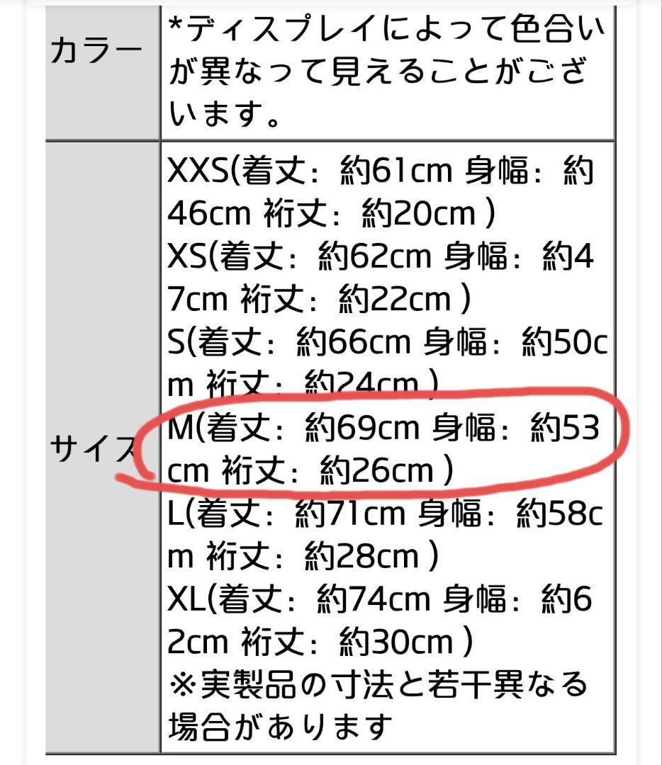patagonia 2018.USレトロX フリースベスト M ペリカン